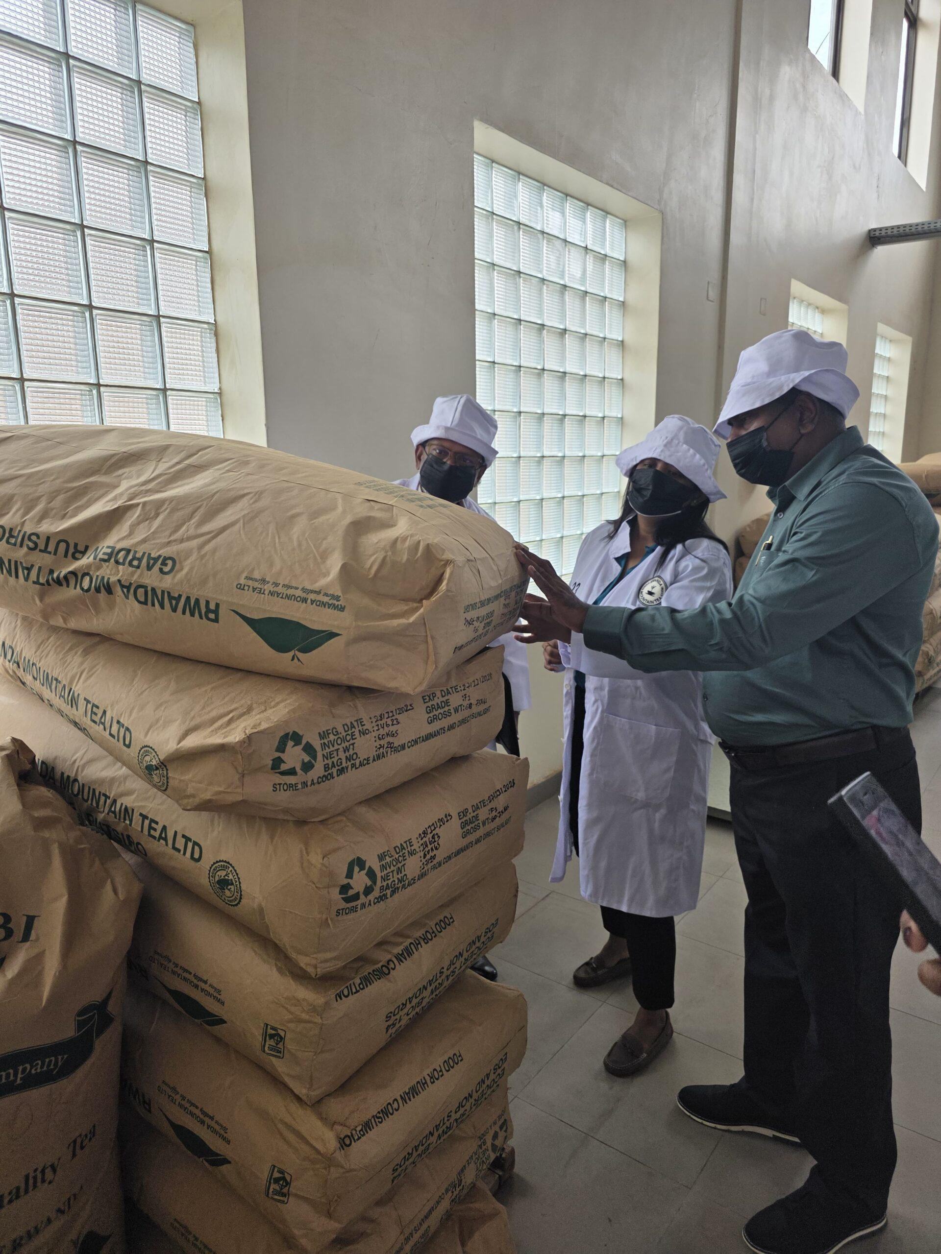 Tea Factory Visit
