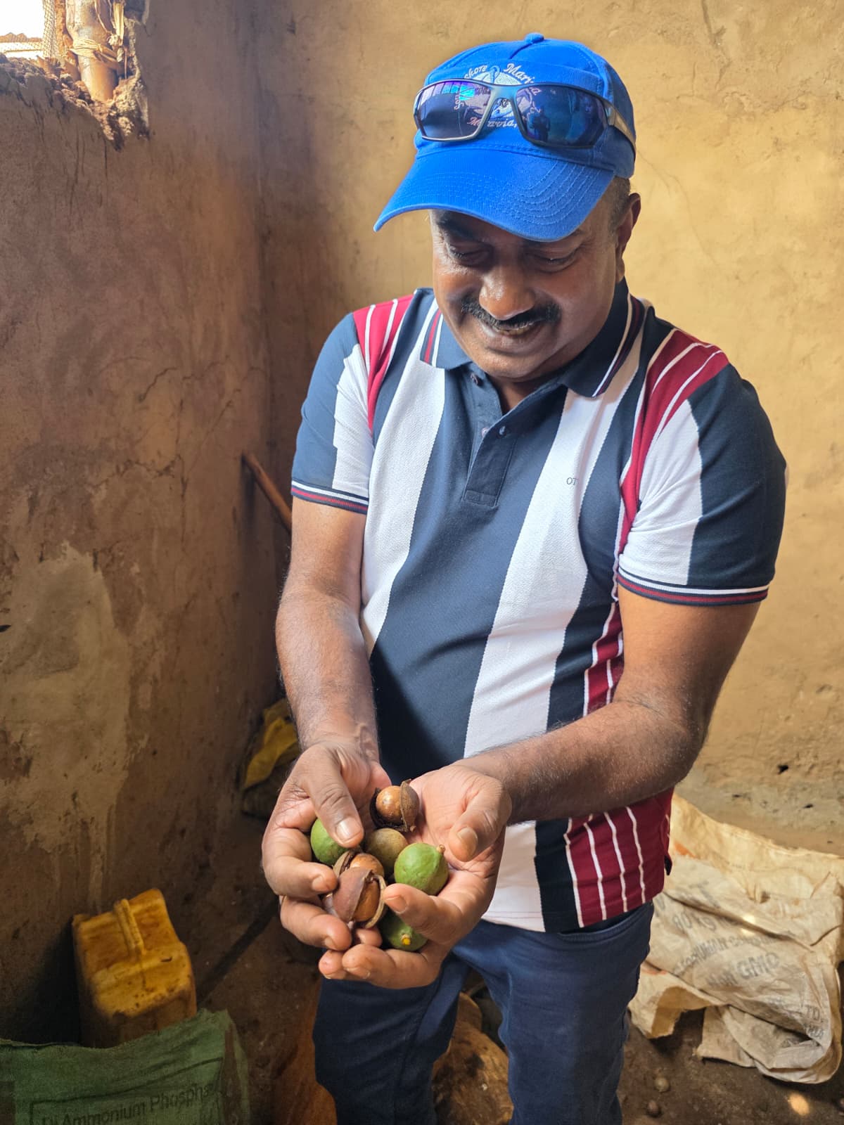 Organic Macadamia Nuts