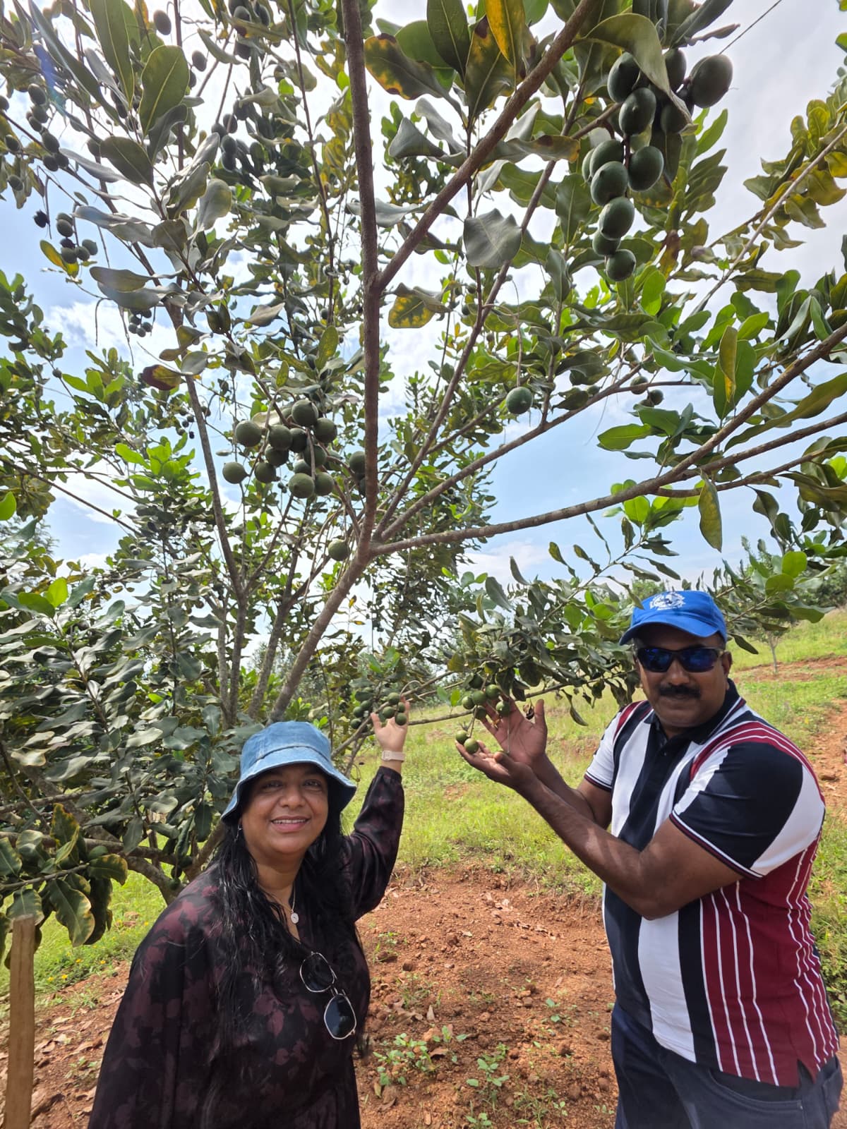 Macadamia Farm Visit