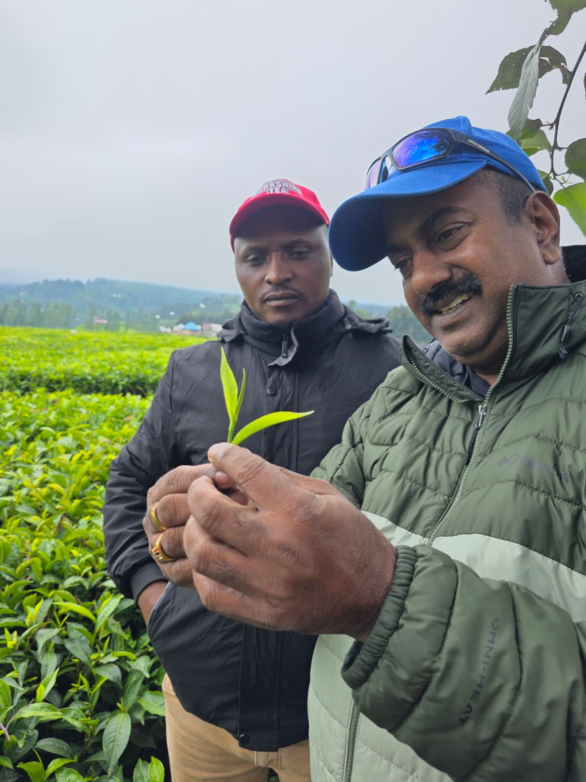 With Tea Plantation Manager